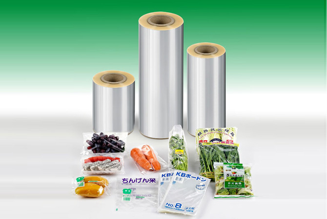 YJB Plastics Manufacturing Facility